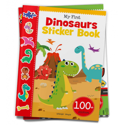 Sticker Activity Book