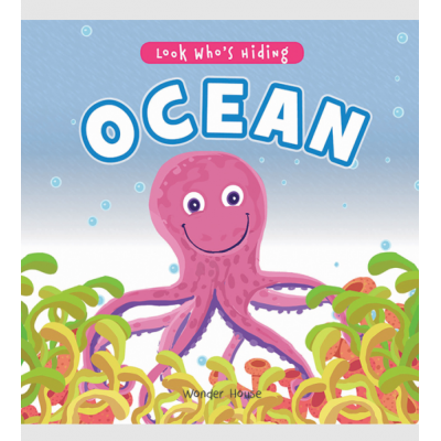 Picture Book