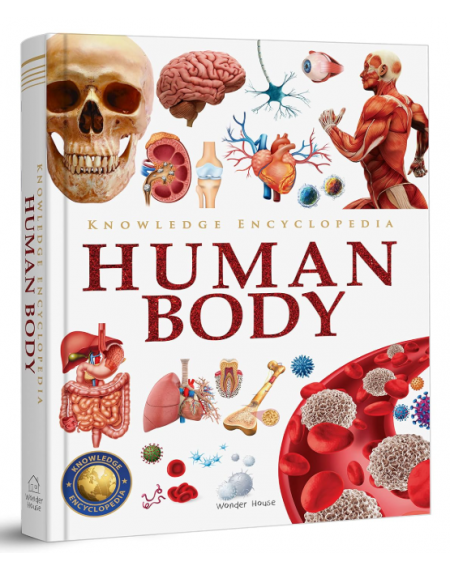 Knowledge Encyclopedia - Human Body
