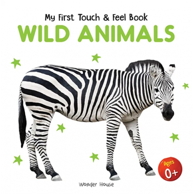 Touch and Feel Book
