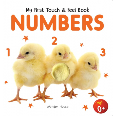 Touch and Feel Book