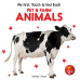 Touch and Feel Book